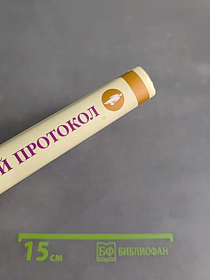Деловой протокол. Стратегия личного успеха