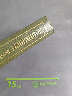 Избранное в двух томах. Том 2. Пути-перепутья. Повести. Рассказы