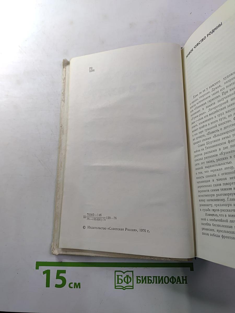 За все в ответе