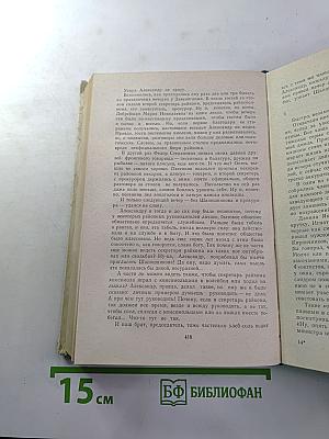 За все в ответе