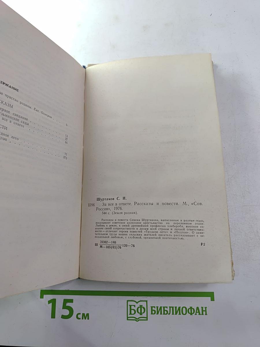 За все в ответе