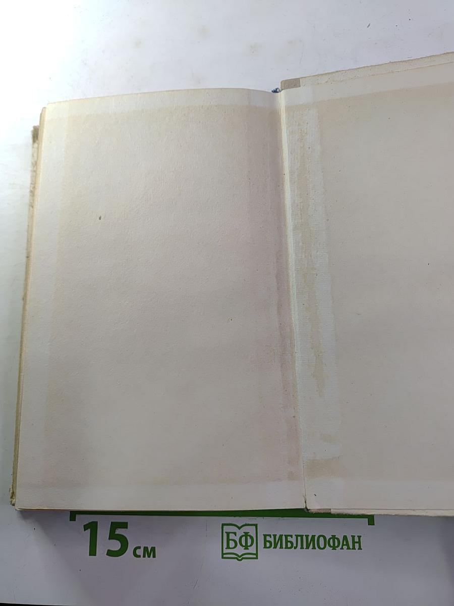 За все в ответе