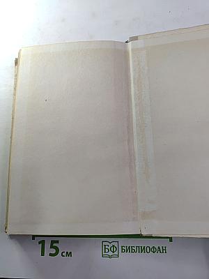 За все в ответе