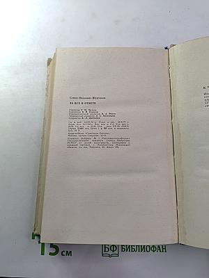 За все в ответе