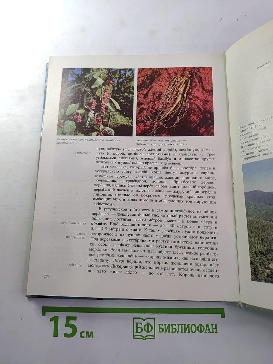 На просторах Сибири