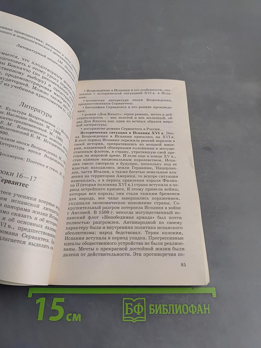 Зарубежная литература 8-9 классы. Методическое пособие к учебнику-хрестоматии