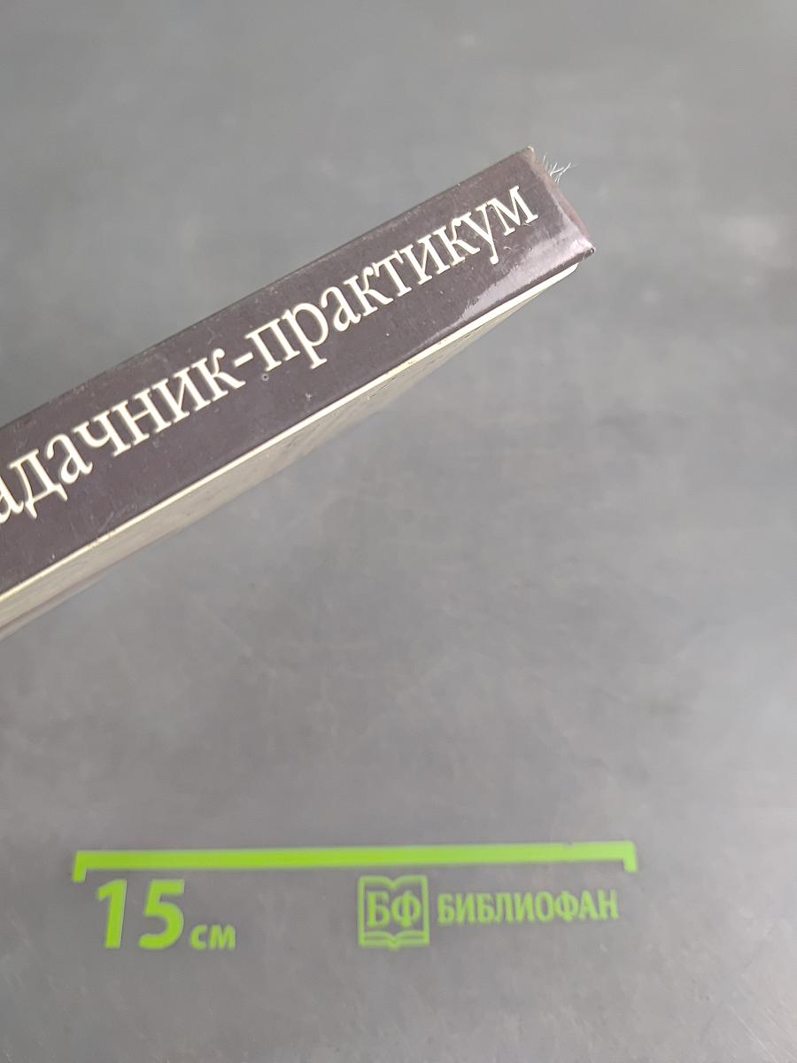 Литература. Учимся понимать художественный текст. Задачник-практикум 8-11 классы