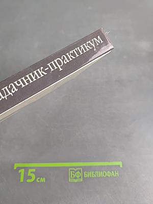 Литература. Учимся понимать художественный текст. Задачник-практикум 8-11 классы