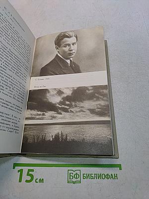 Сергей Есенин. Собрание сочинений в трех томах. Том 3