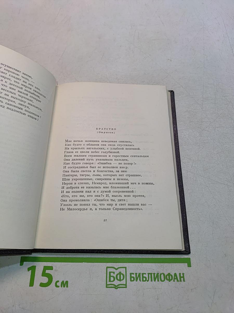 Из зарубежных поэтов
