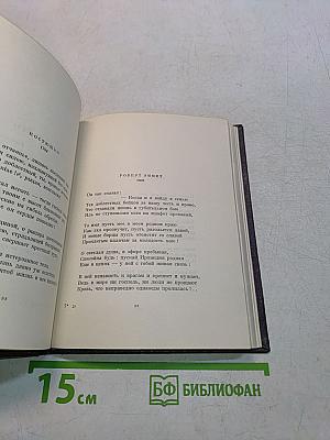 Из зарубежных поэтов