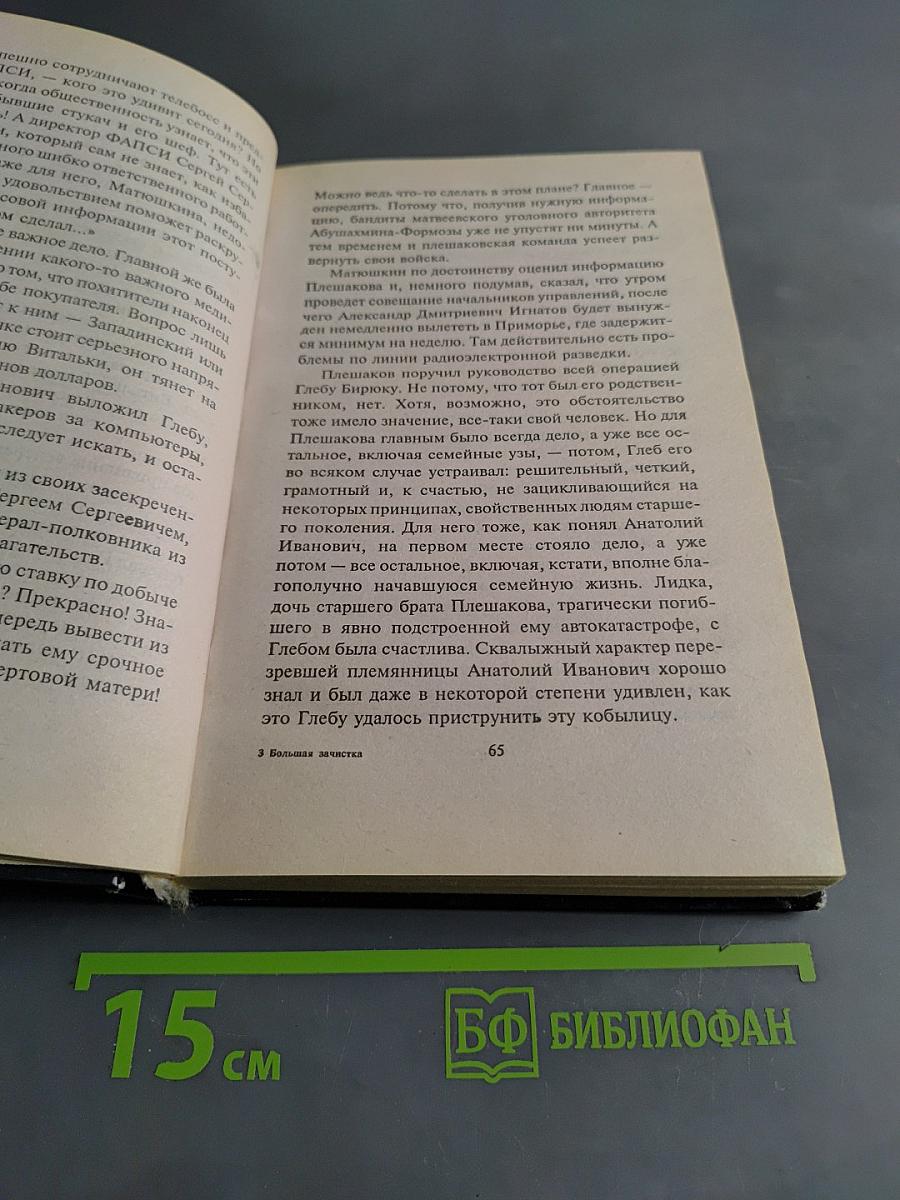 Большая зачистка