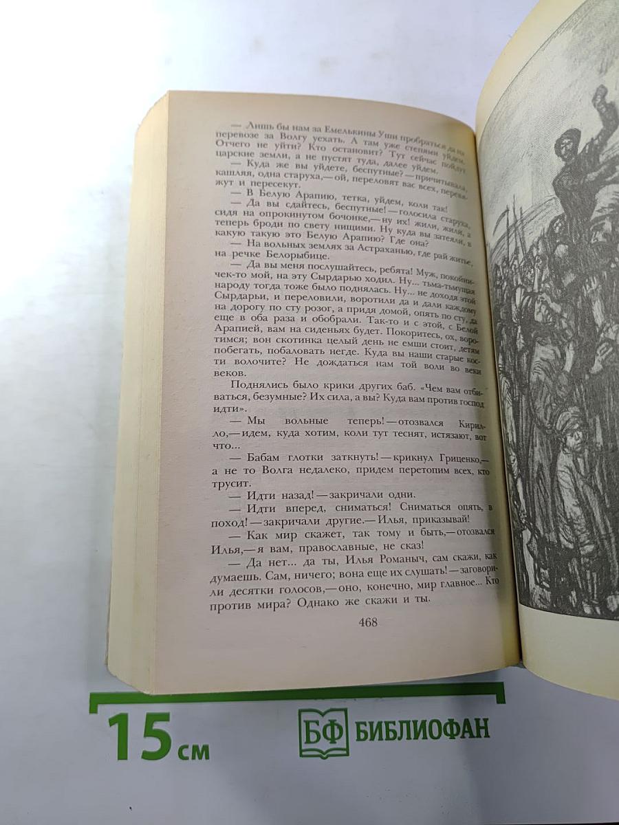 Беглые в Новороссии, Воля, Княжна Тараканова