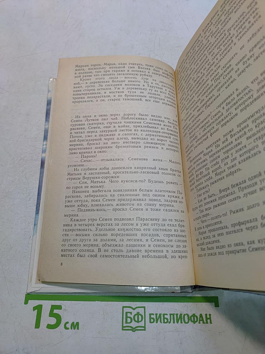 Усвятские шлемоносцы