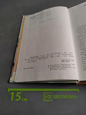 Литература 8 класс