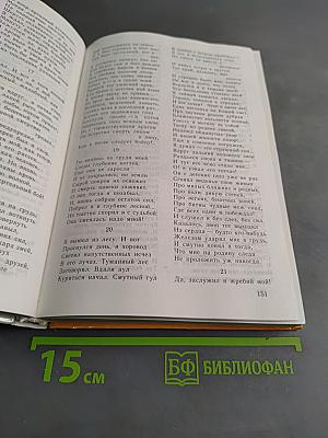 Литература 8 класс