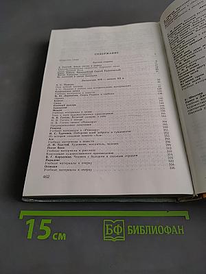 Литература 8 класс