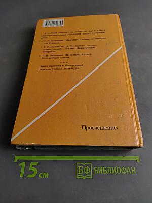 Литература 8 класс
