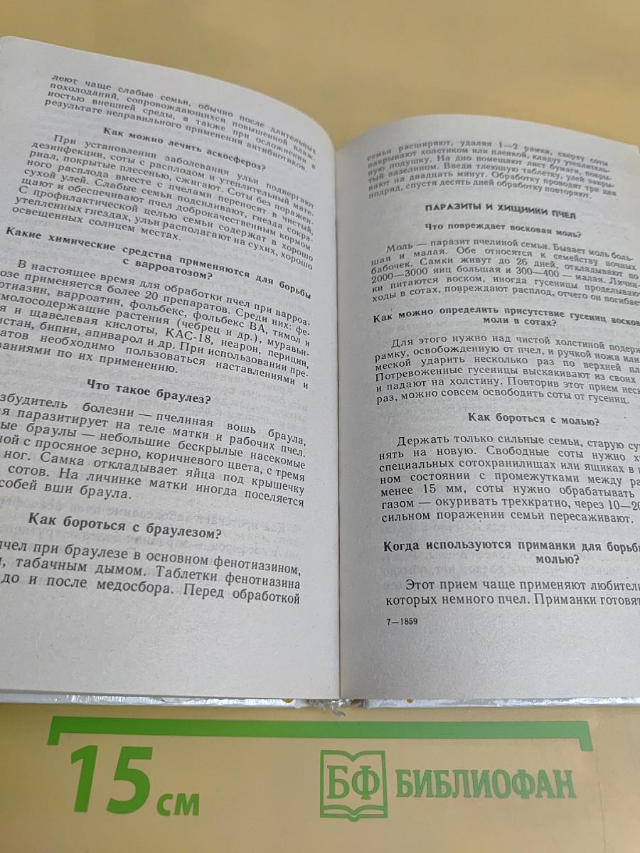 Любительское пчеловодство в вопросах и ответах