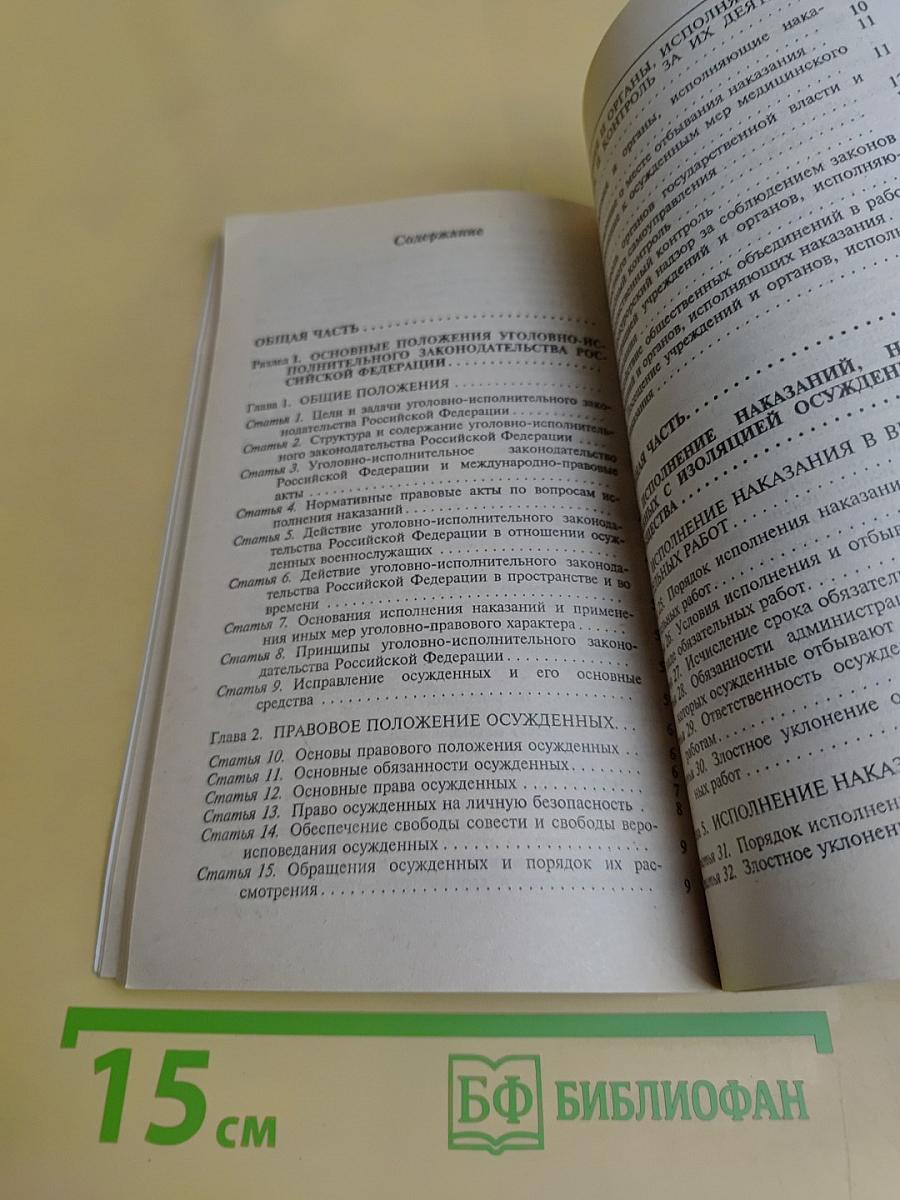 Уголовно-исполнительный кодекс Российской Федерации