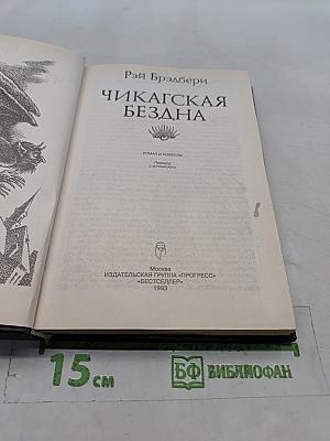 Чикагская бездна