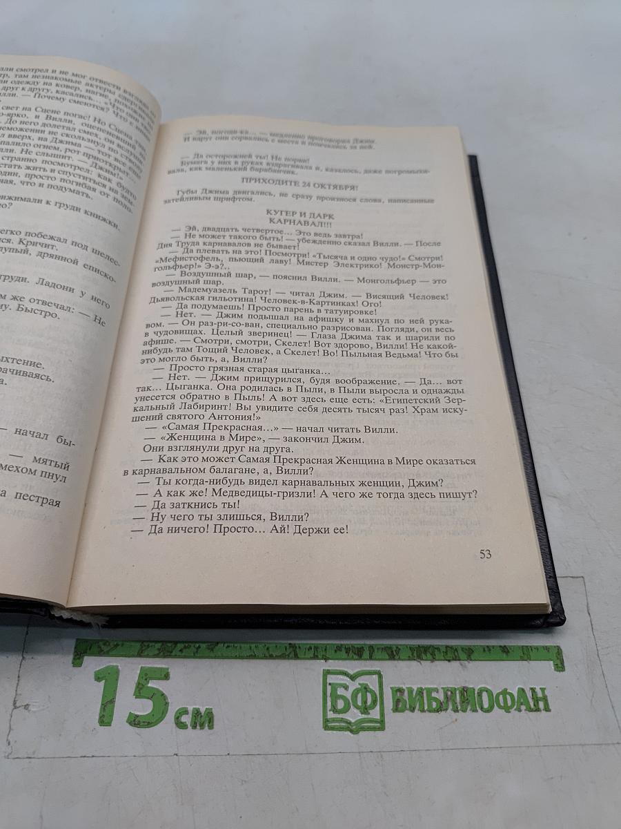 Чикагская бездна