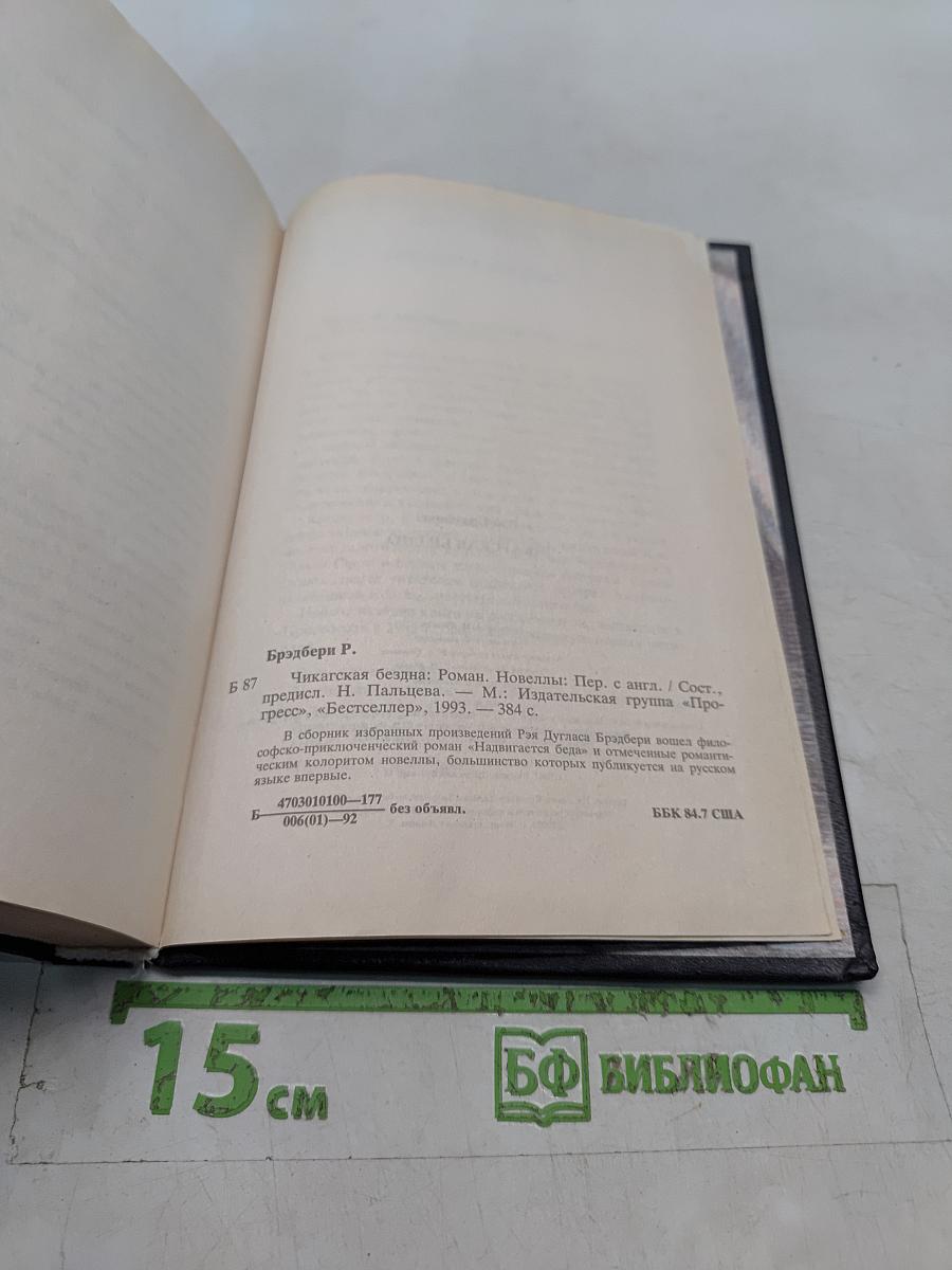 Чикагская бездна