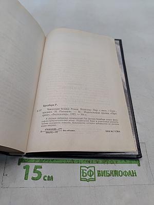 Чикагская бездна