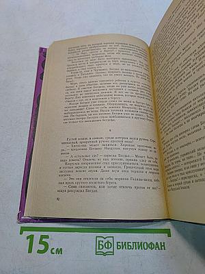 Иван Ле Хмельницкий. Книга вторая