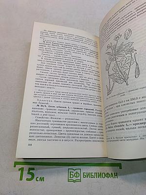 Лекарственные растения и способы их применения в народе