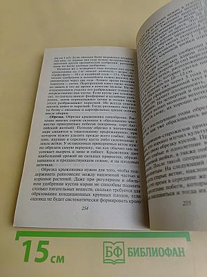 Типичные ошибки овощеводов - любителей