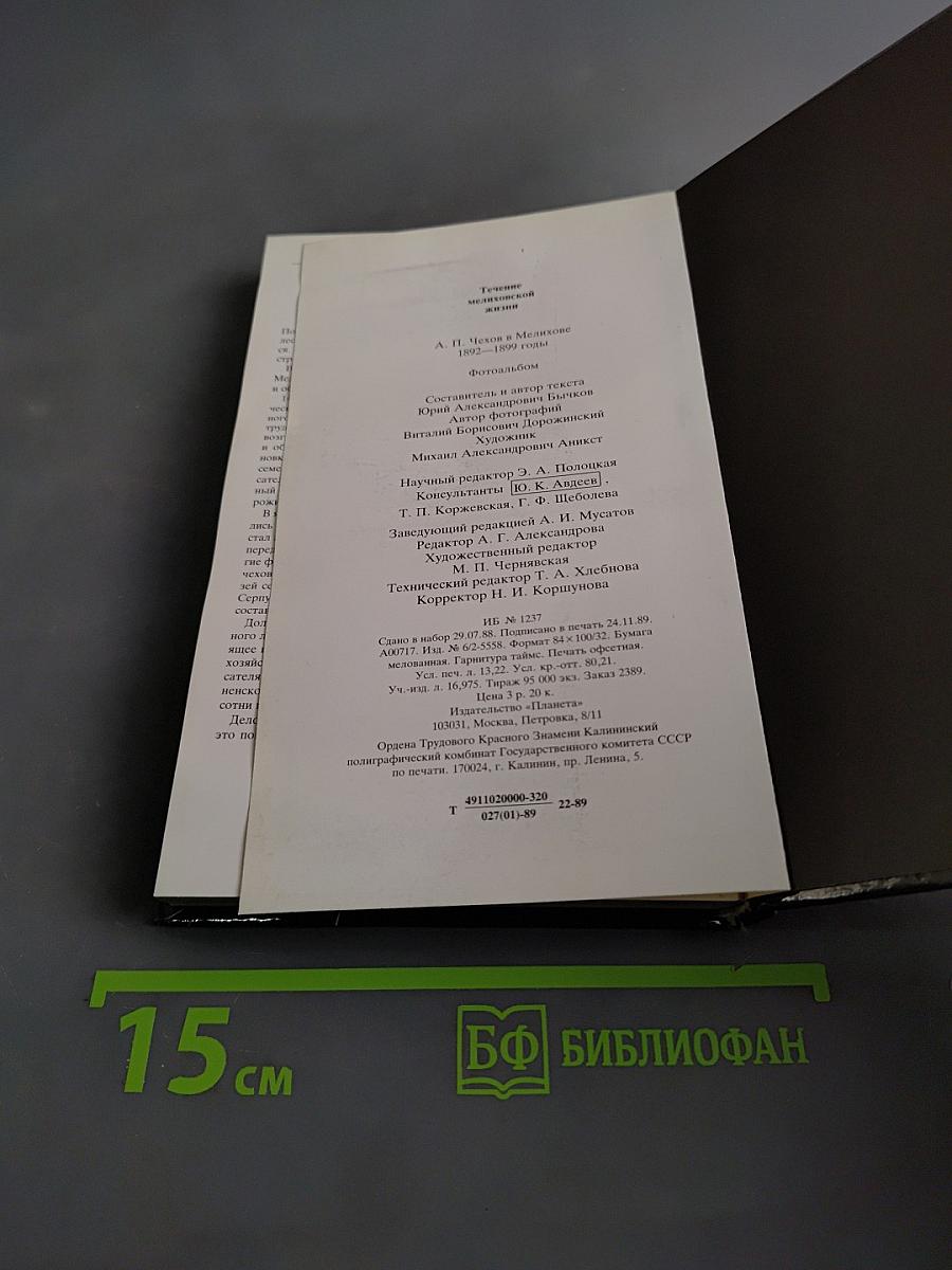 Течение Мелиховской жизни