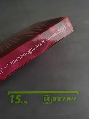 Очарование женственности