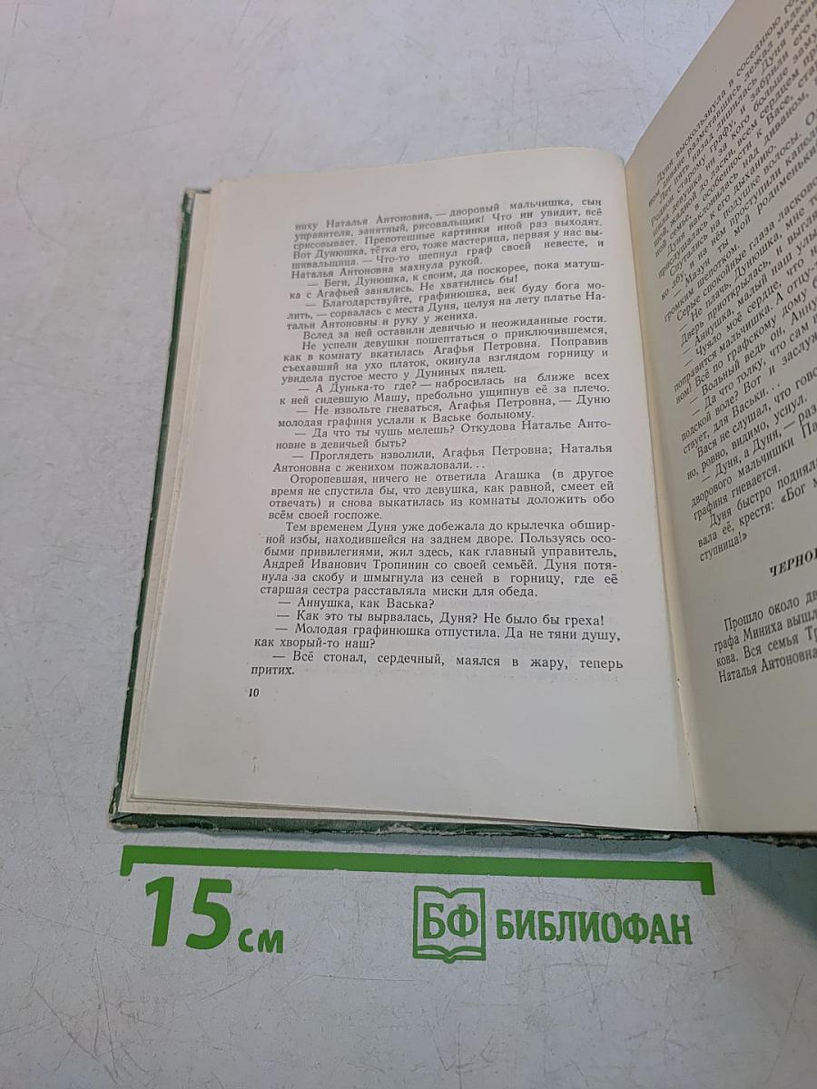 Крепостной художник