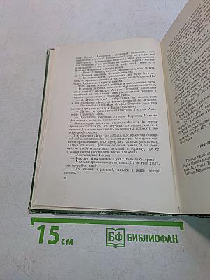 Крепостной художник