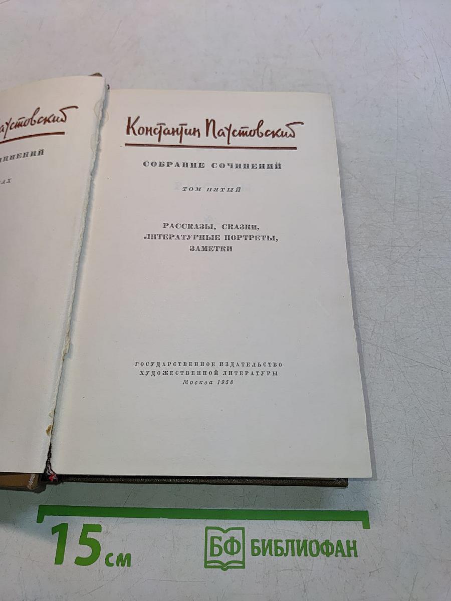 Собрание сочинений. Том пятый. Рассказы, сказки, литературные портреты, заметки