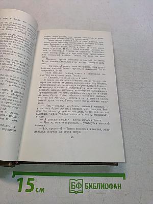 Собрание сочинений. Том пятый. Рассказы, сказки, литературные портреты, заметки