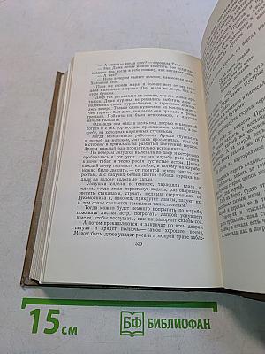 Собрание сочинений. Том пятый. Рассказы, сказки, литературные портреты, заметки