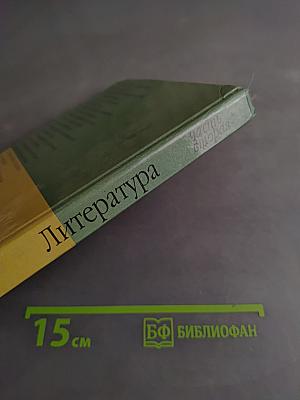Литература 8 класс. Часть вторая