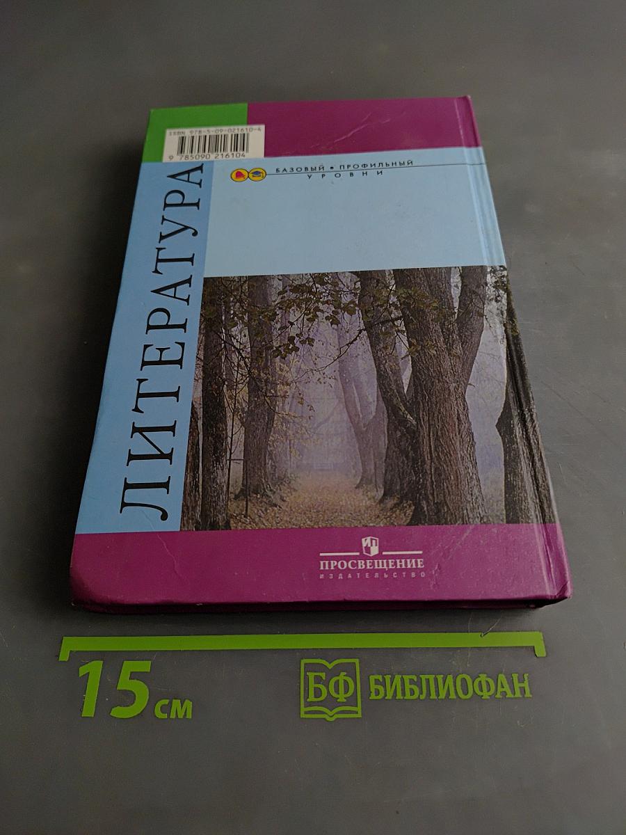 Литература. Учебник для общеобразовательных учреждений. Базовый и профильный уровни. В двух частях. Часть 1. 10 класс