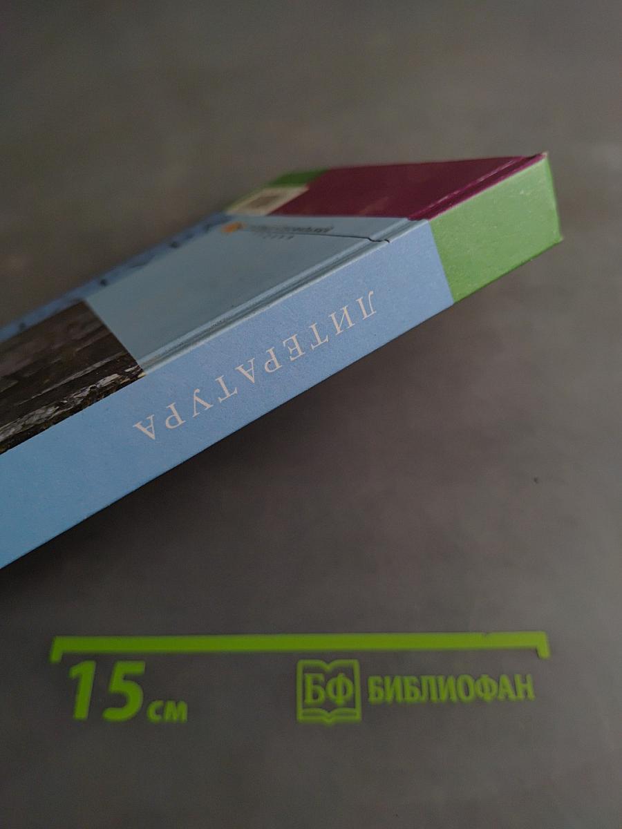Литература. Учебник для общеобразовательных учреждений. Базовый и профильный уровни. В двух частях. Часть 1. 10 класс