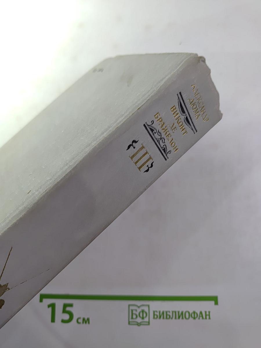 Виконт де Бражелон, или Десять лет спустя. Части 5, 6