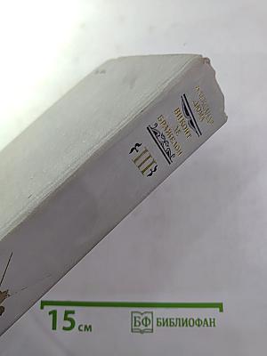 Виконт де Бражелон, или Десять лет спустя. Части 5, 6