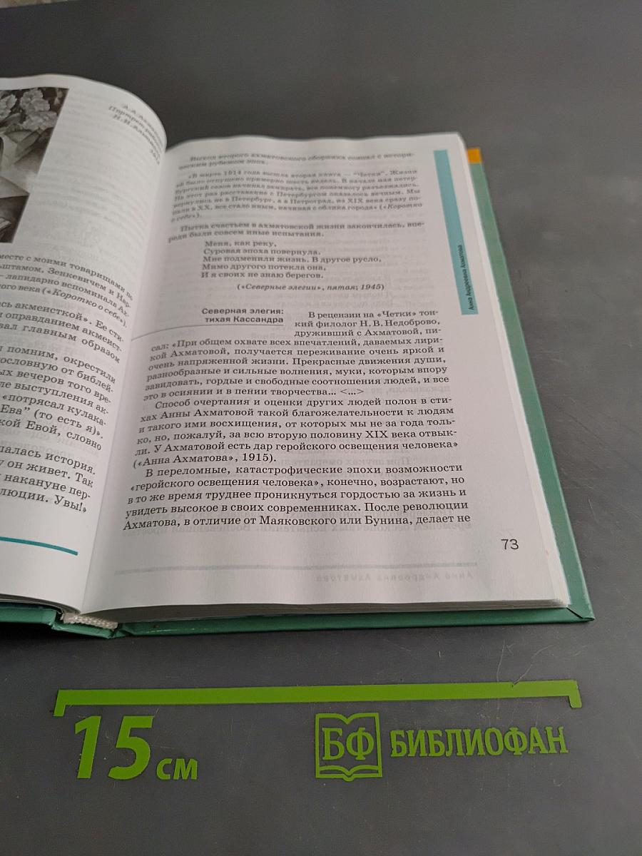 Литература. Учебник для 11 класса (базовый уровень). В двух частях. Часть 2