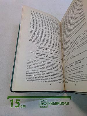 Лечение растениями