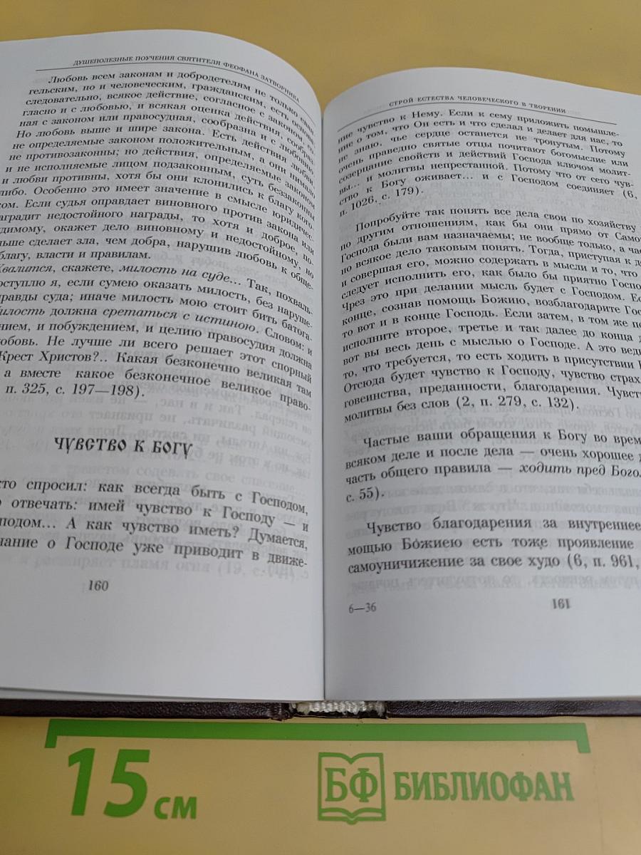 Душеполезные поучения святителя Феофана Затворника