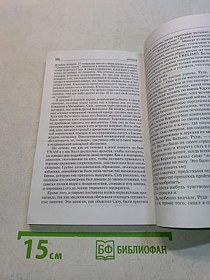 Прорыв. Распространение благой вести через запретные границы