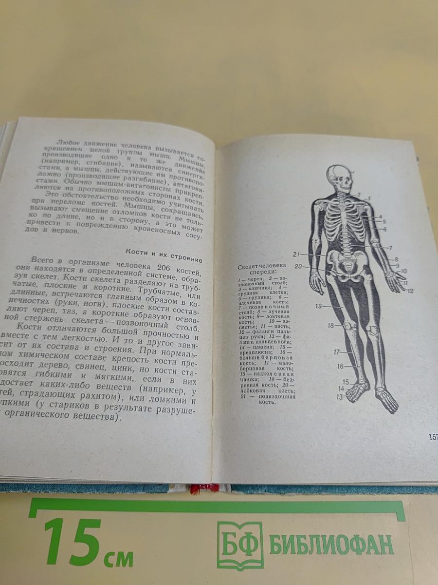 Это от тебя зависит, человек