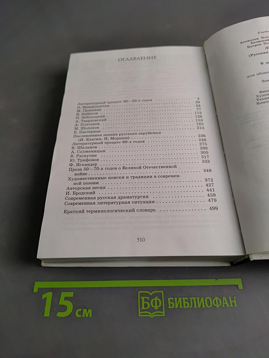 Литература. 11 класс. Часть 2. Учебник для общеобразовательных учреждений