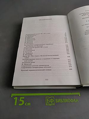 Литература. 11 класс. Часть 2. Учебник для общеобразовательных учреждений